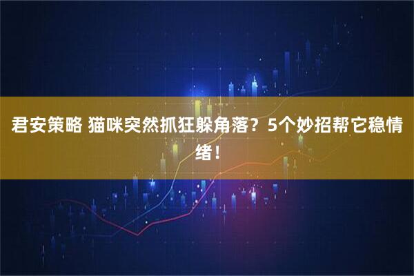 君安策略 猫咪突然抓狂躲角落？5个妙招帮它稳情绪！