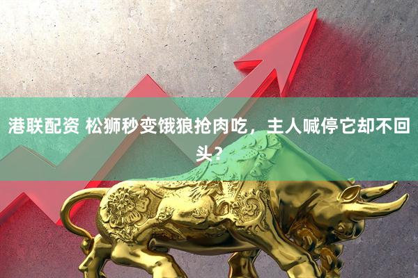 港联配资 松狮秒变饿狼抢肉吃，主人喊停它却不回头？