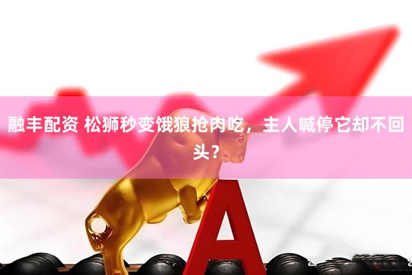 融丰配资 松狮秒变饿狼抢肉吃，主人喊停它却不回头？