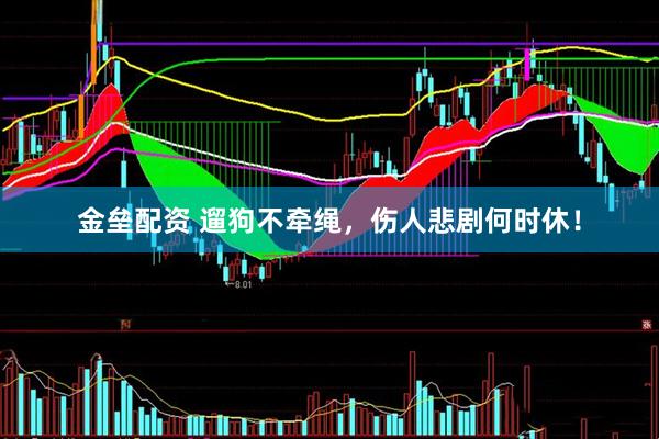 金垒配资 遛狗不牵绳，伤人悲剧何时休！