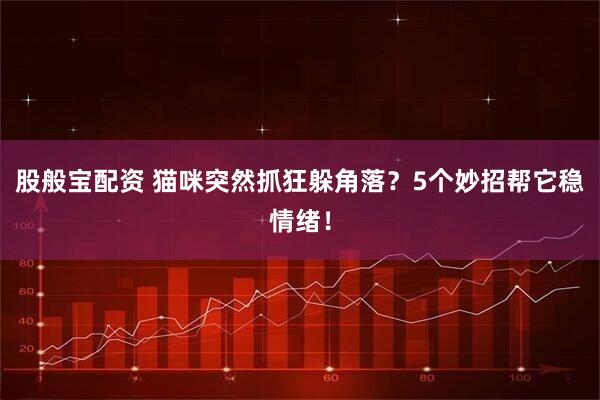 股般宝配资 猫咪突然抓狂躲角落？5个妙招帮它稳情绪！