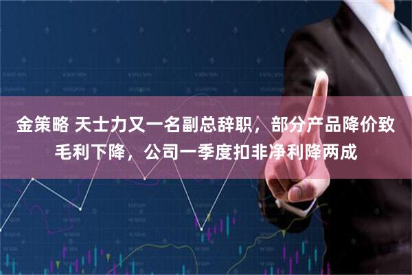 金策略 天士力又一名副总辞职，部分产品降价致毛利下降，公司一季度扣非净利降两成
